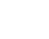 Phishoes